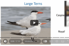 Screenshot 2025-11-10 at 3.20.27 PM