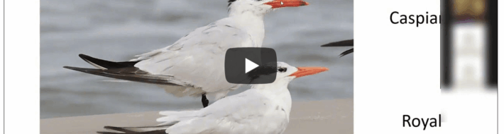 Screenshot 2025-11-10 at 3.20.27 PM